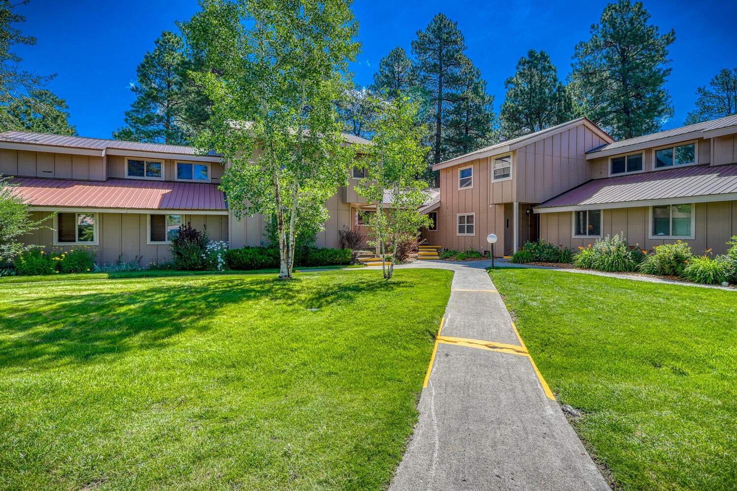 An apartment complex in the woods with grass and trees.