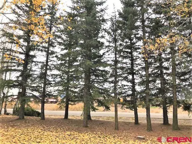 A group of trees in a yard with leaves on them.