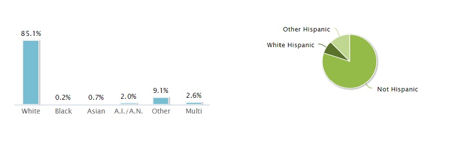 population by race