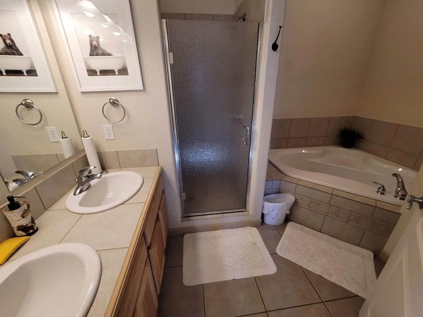 A bathroom with two sinks and a shower.