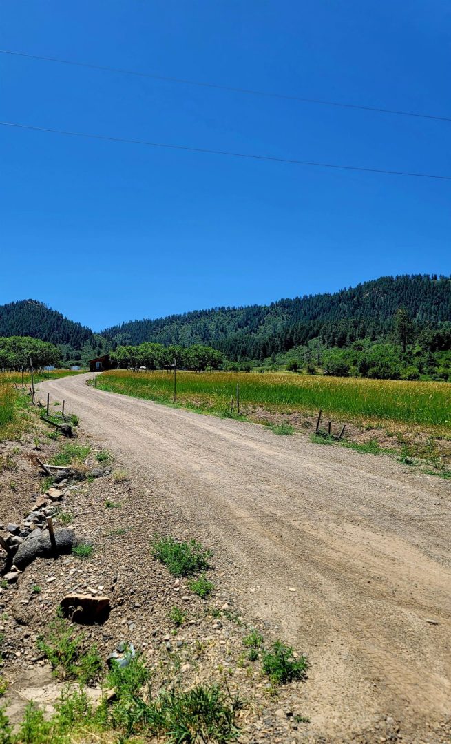 Beautiful roads of an area with plants