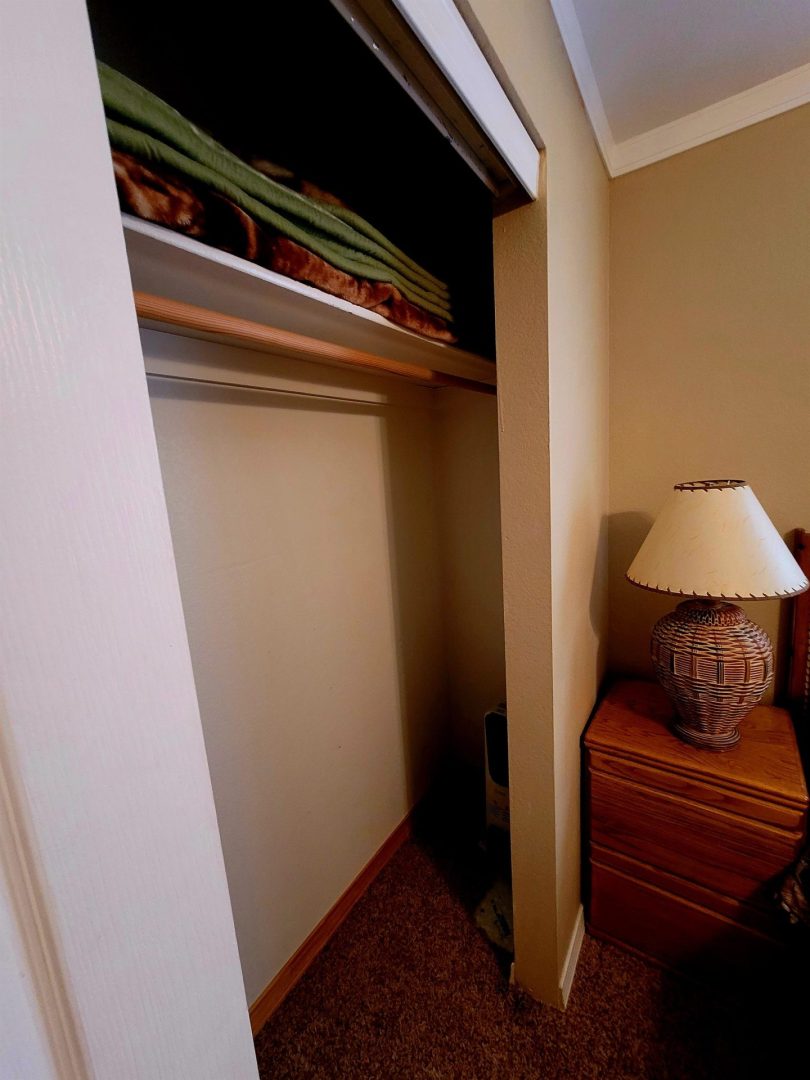 A closet in a bedroom with a lamp next to it.