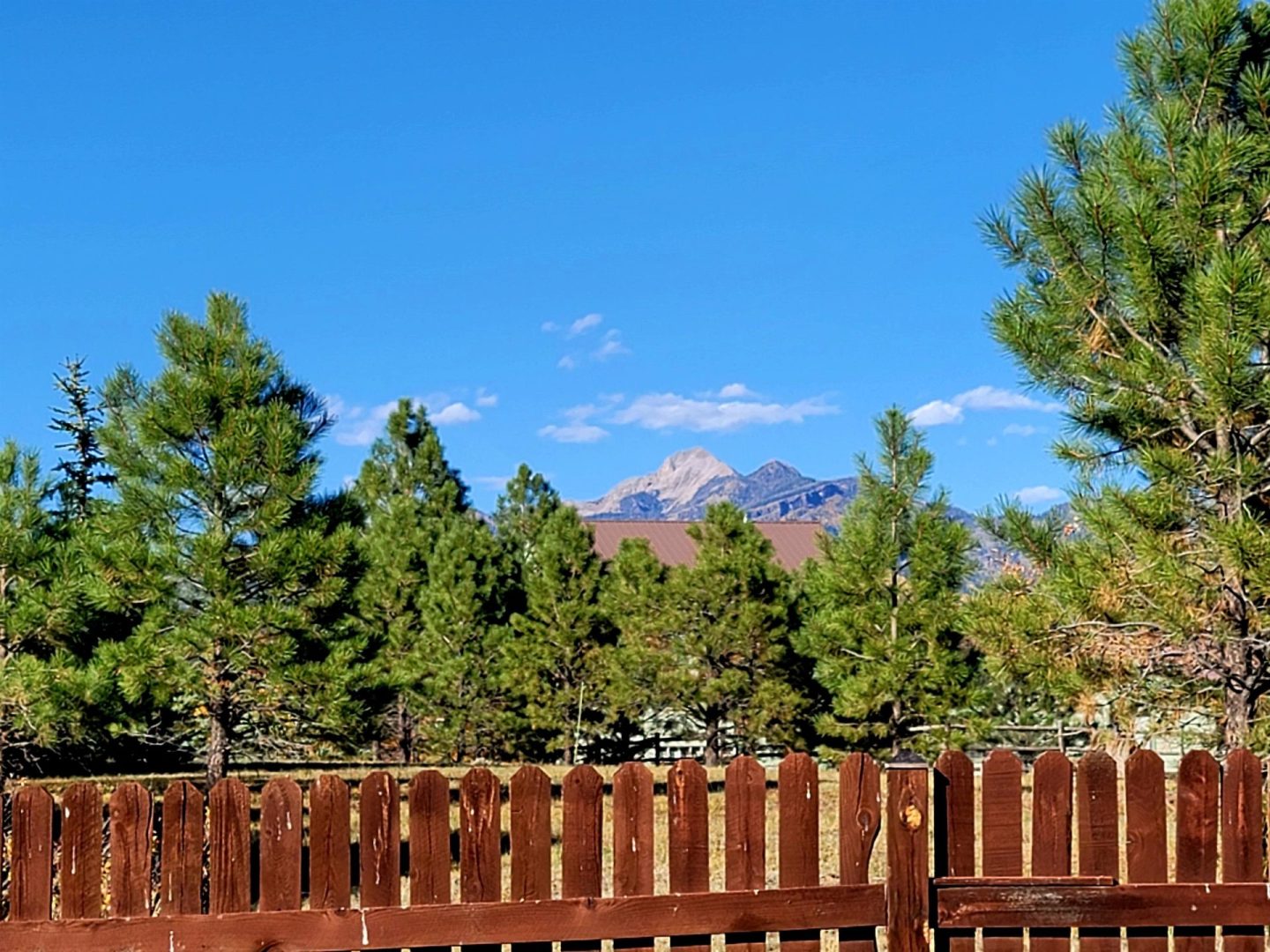 A wooden fence with pine trees in the background.