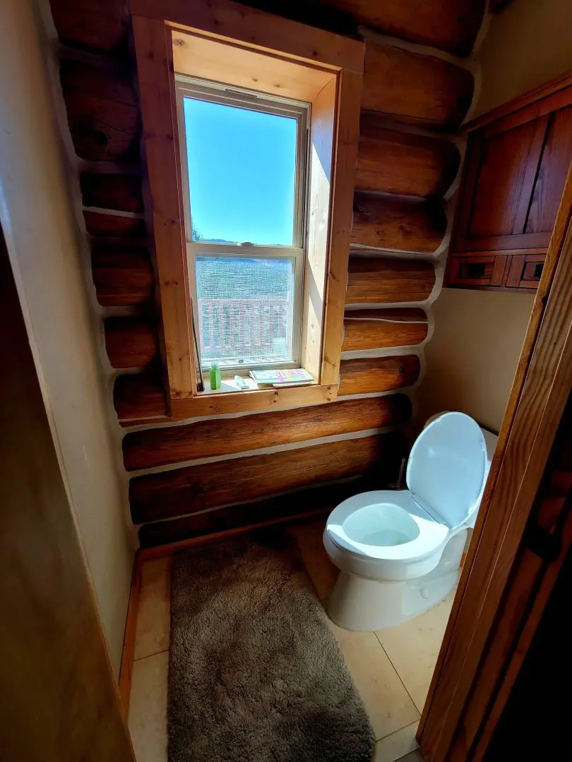 A bathroom in a log cabin with a toilet and window.