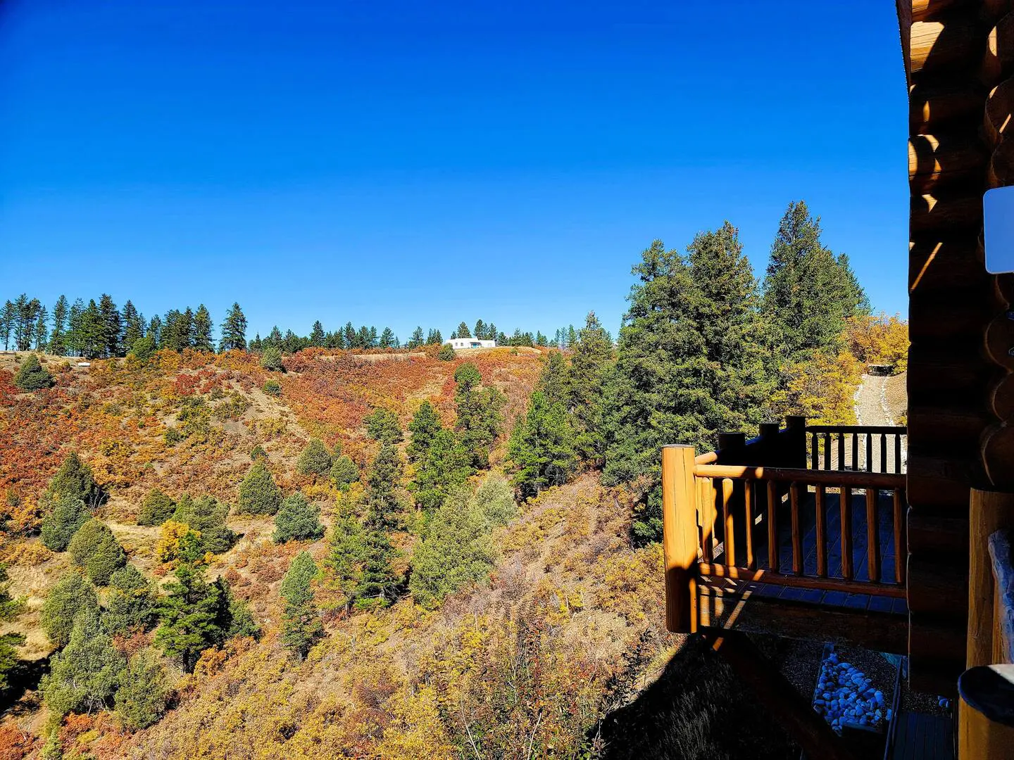 A view from the deck of a log cabin overlooking a forest.