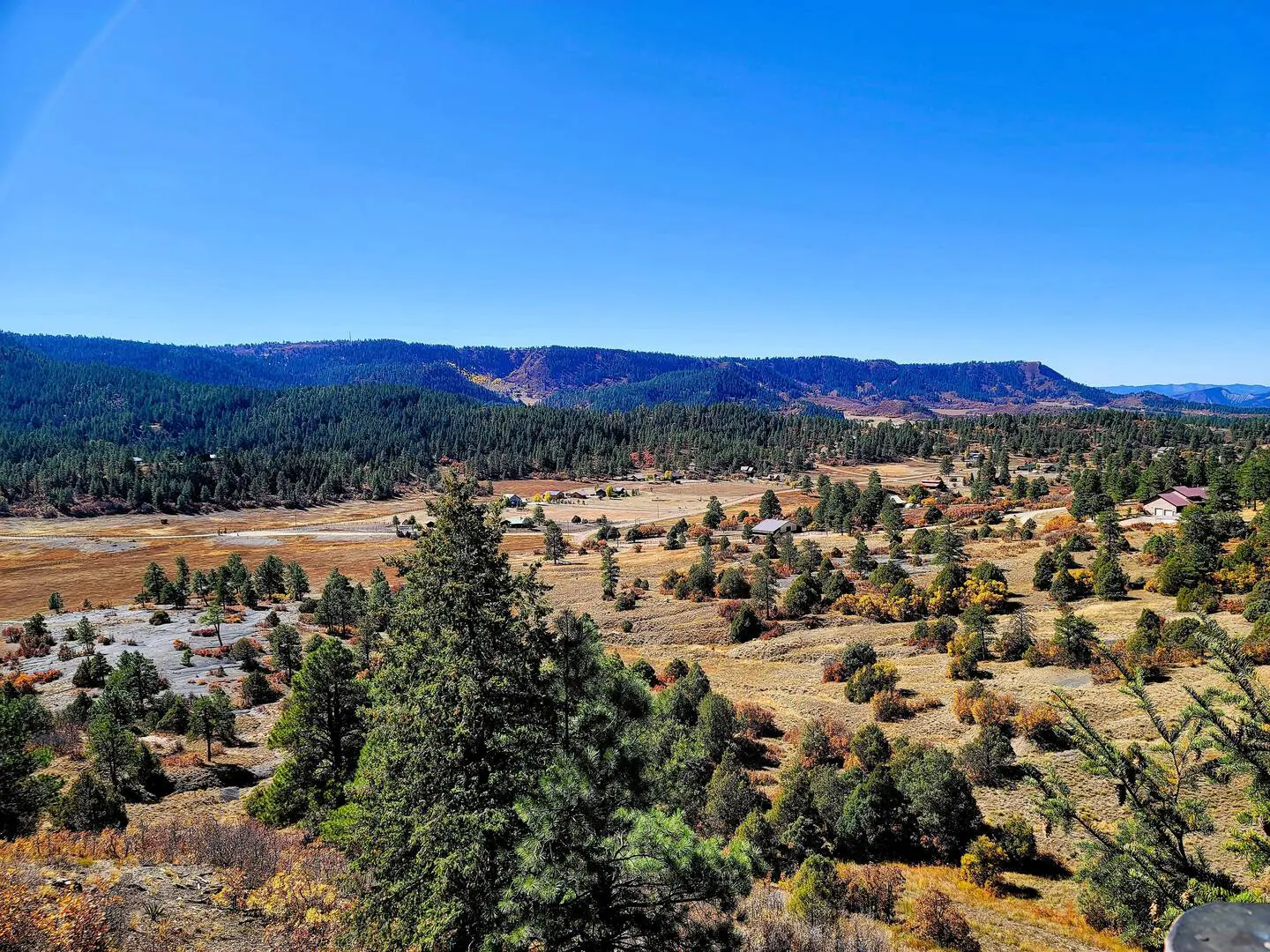 A view of a valley with trees and mountains.