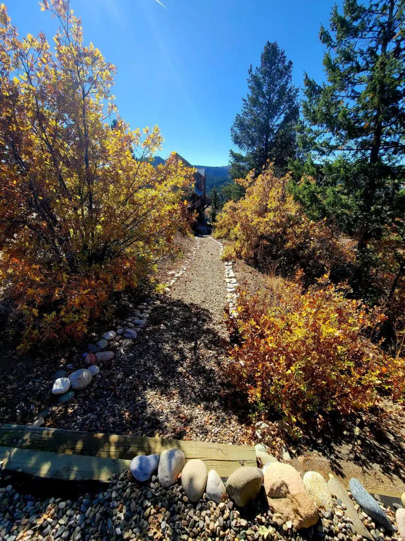 A path with rocks and trees in the background.