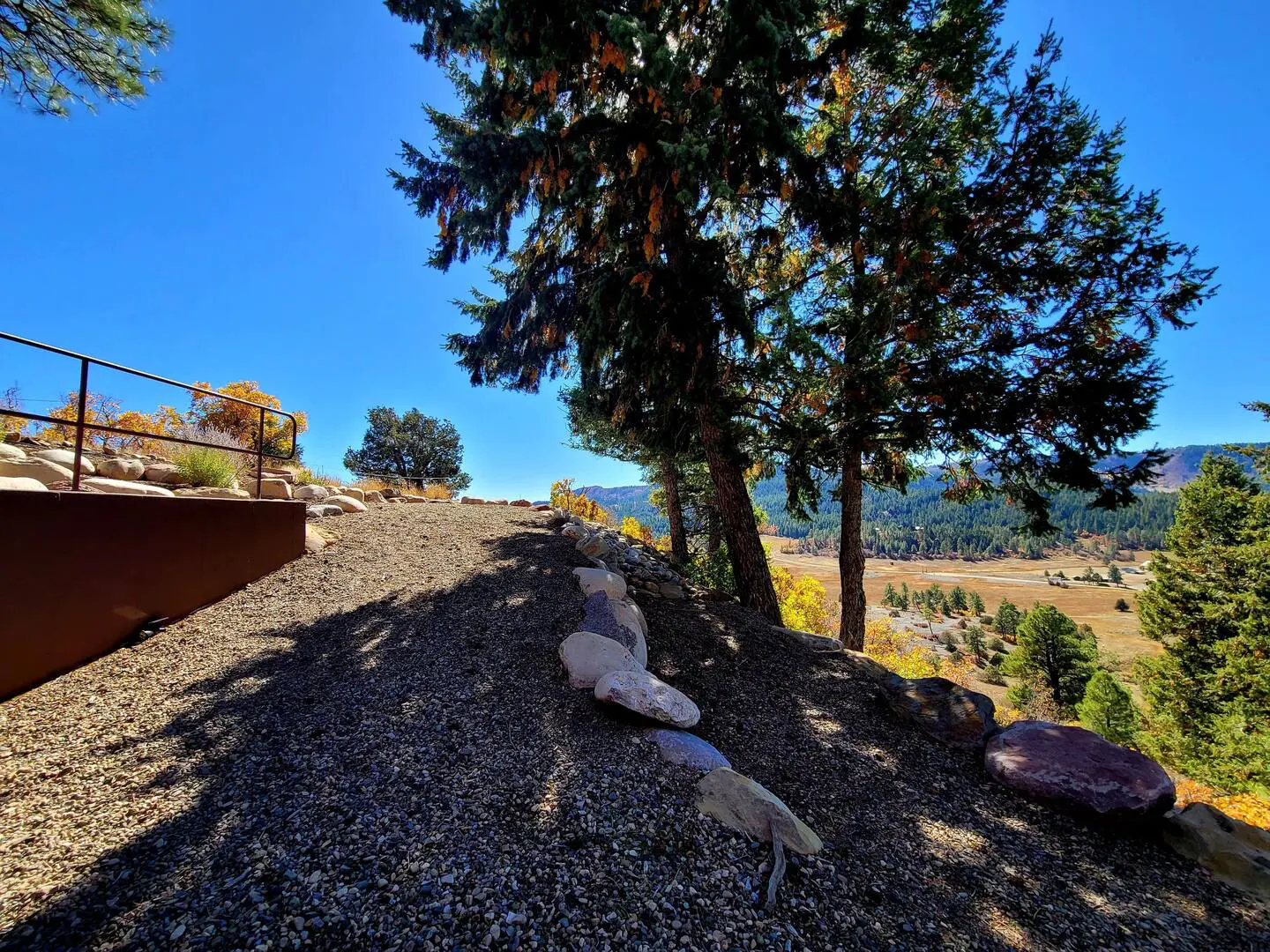 A view of a hillside with trees and rocks.