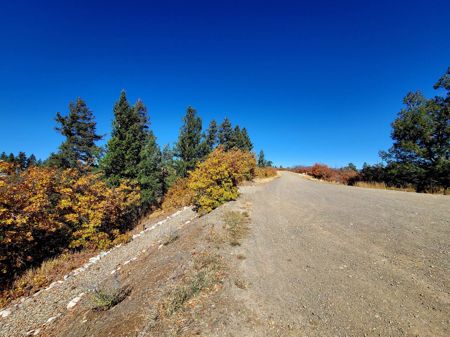 A dirt road with trees in the background.