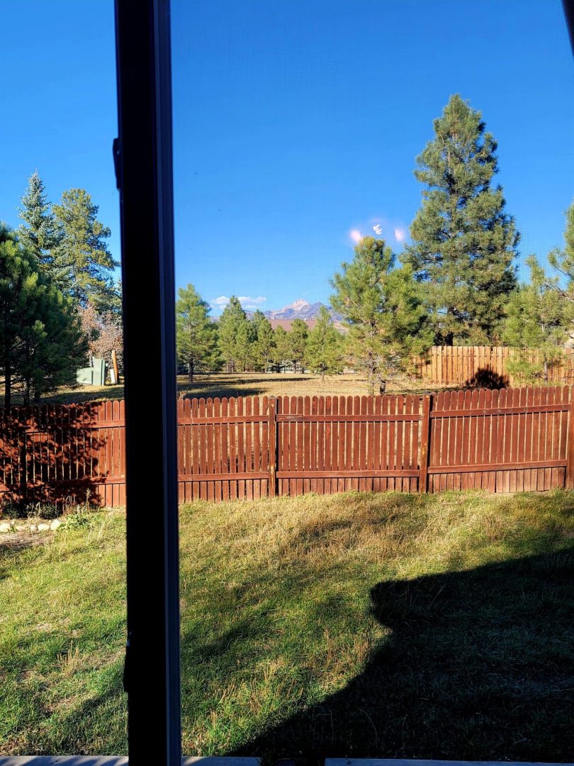 A view from a window of a yard with a fence.